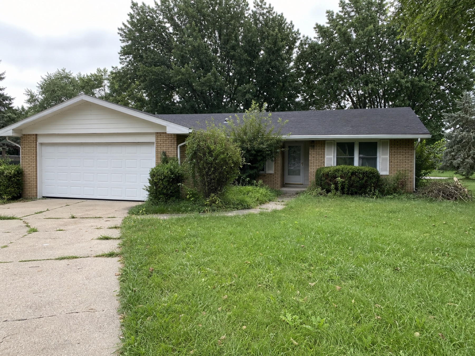 Property exterior before yard and curb-appeal cleanup